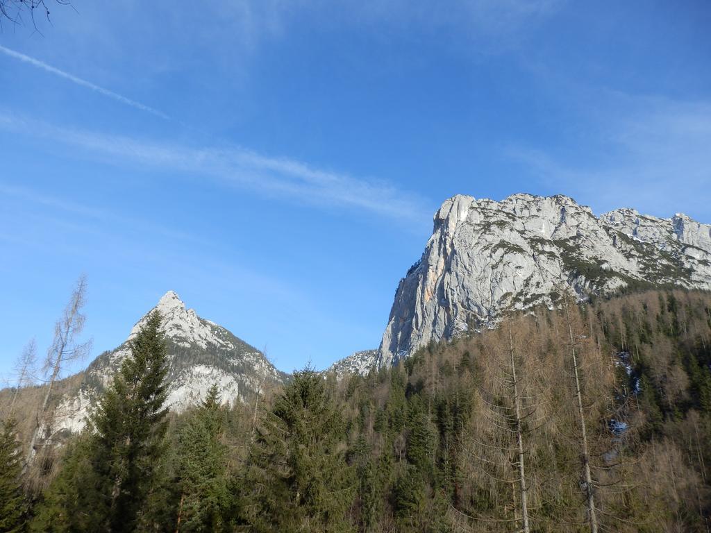 Apartments Saalachtal Лофер Экстерьер фото