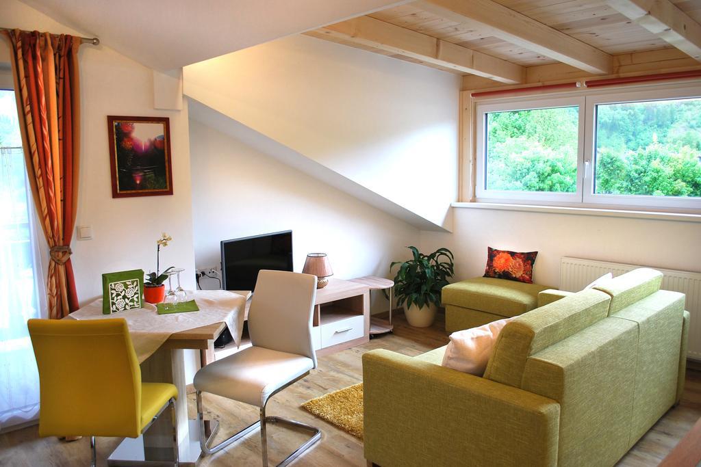 Apartments Saalachtal Лофер Экстерьер фото