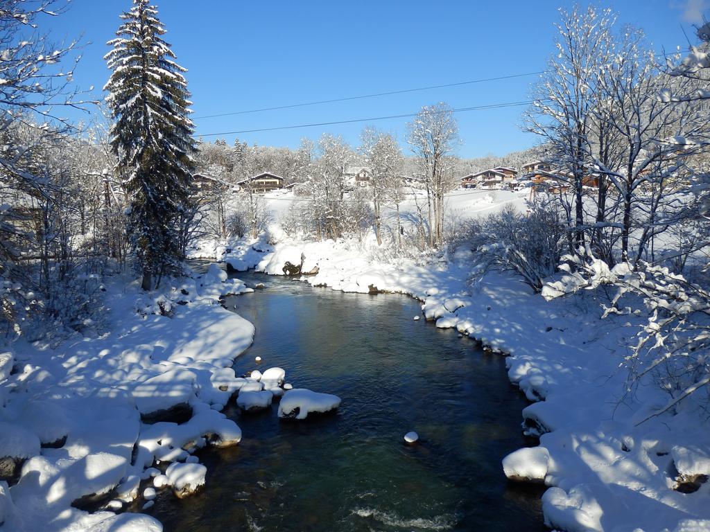 Apartments Saalachtal Лофер Экстерьер фото