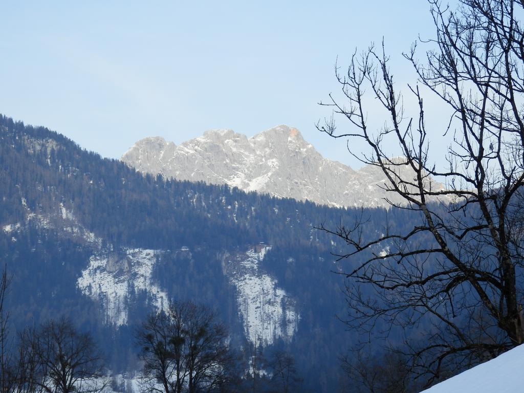 Apartments Saalachtal Лофер Экстерьер фото