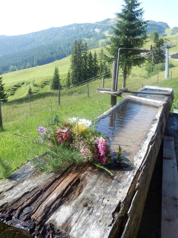 Apartments Saalachtal Лофер Экстерьер фото