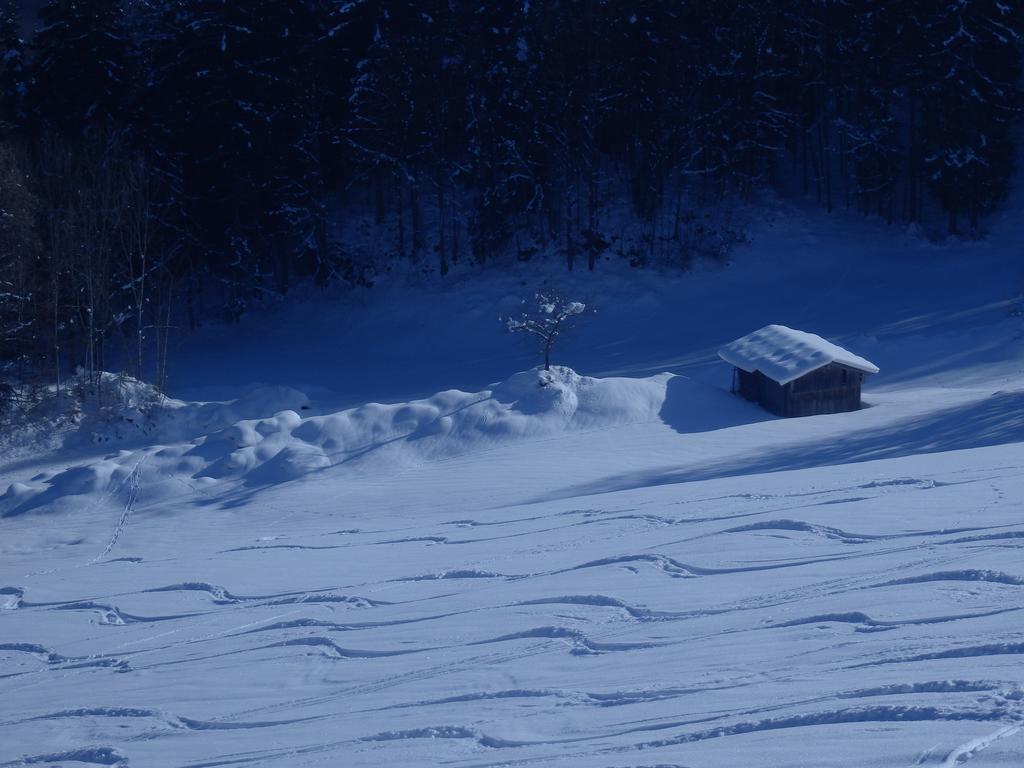 Apartments Saalachtal Лофер Экстерьер фото