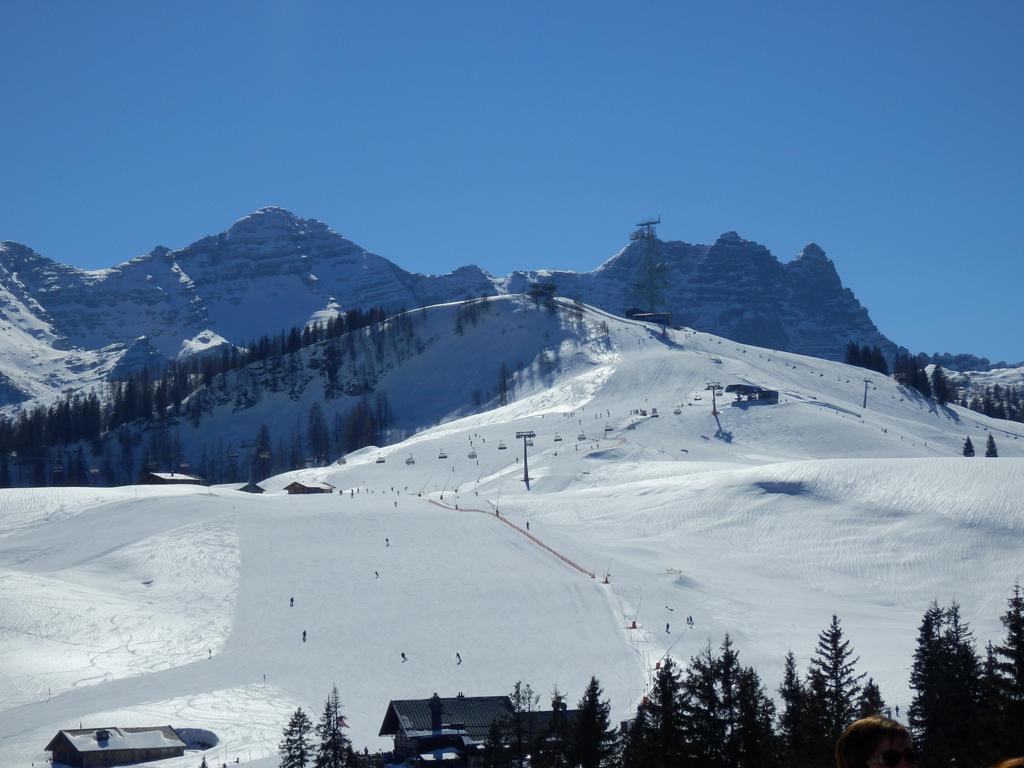 Apartments Saalachtal Лофер Экстерьер фото