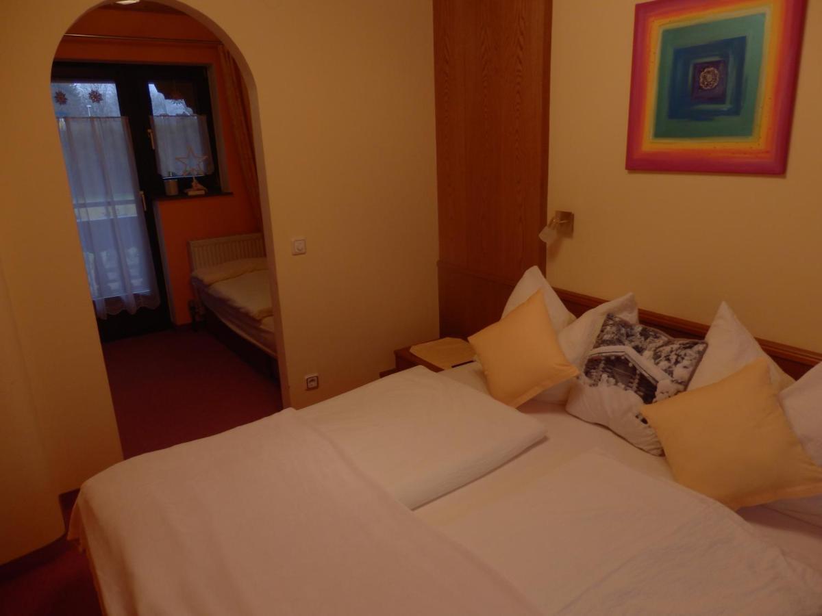 Apartments Saalachtal Лофер Экстерьер фото